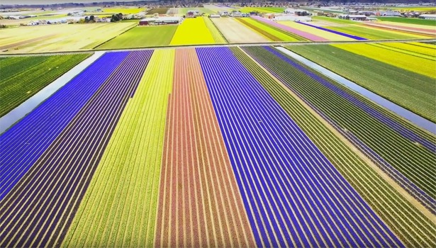 view-from-above-nederland-drone