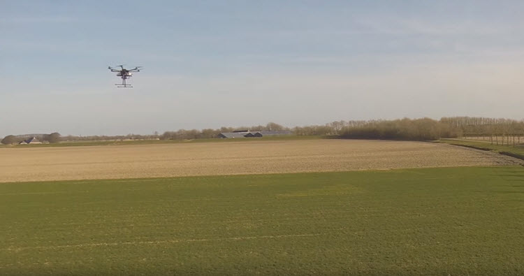 Pootaardappelen schieten de grond uit door drone